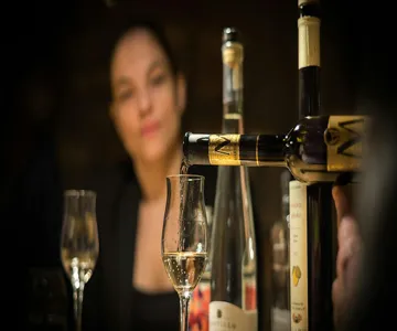 Széchenyi Spa: Full Day with Optional Tasting